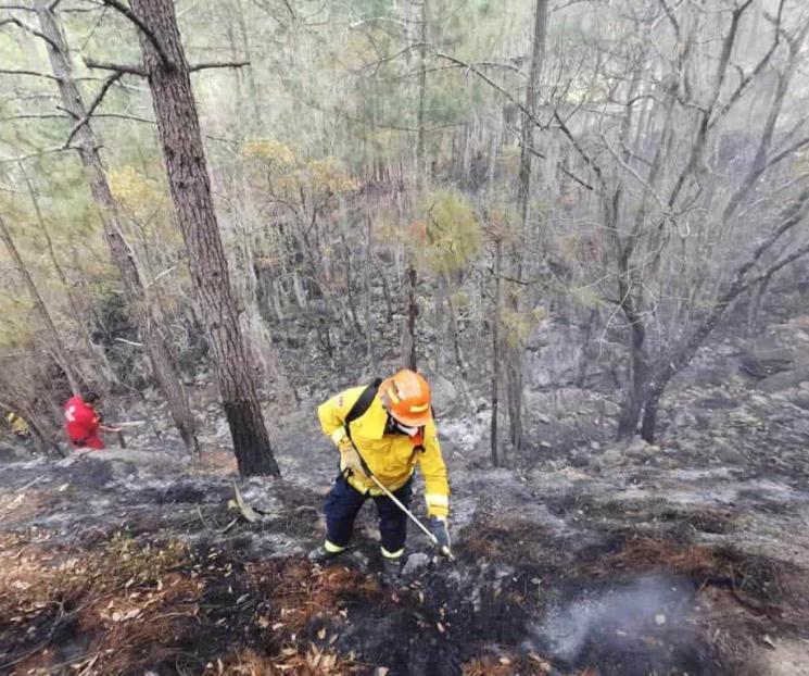 Incendios forestales en Oaxaca han afectado 24 mil hectáreas