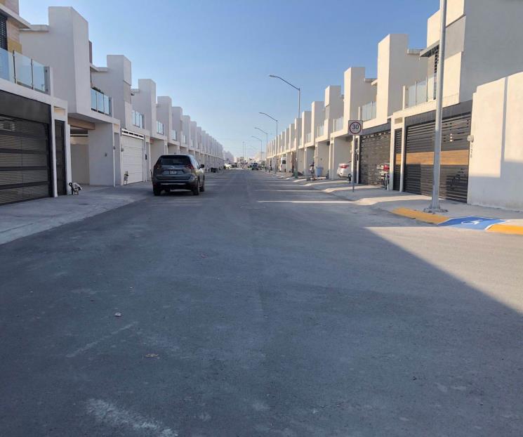 Piden contar con árboles cerca de las casas