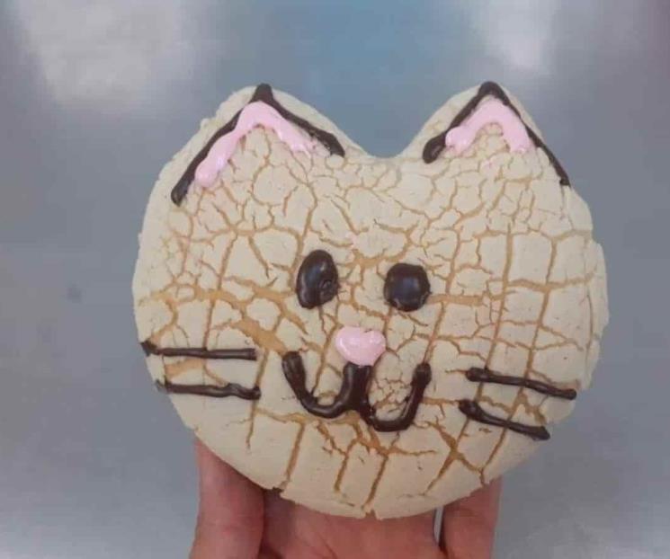 Crean las Michi Conchas para los amantes de los gatos Crean las Michi Conchas para los amantes de los gatos