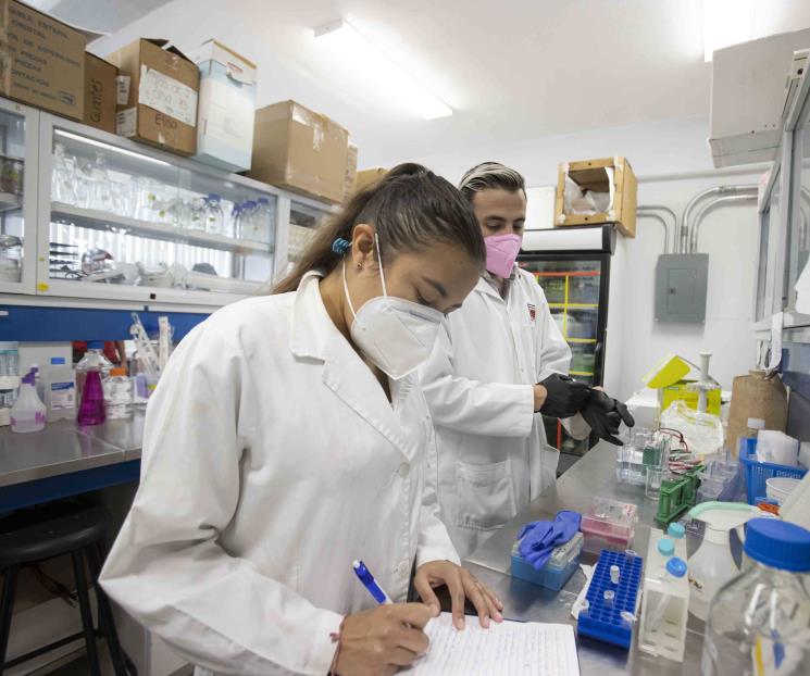 Sigue en marcha la vacuna mexicana contra el Covid