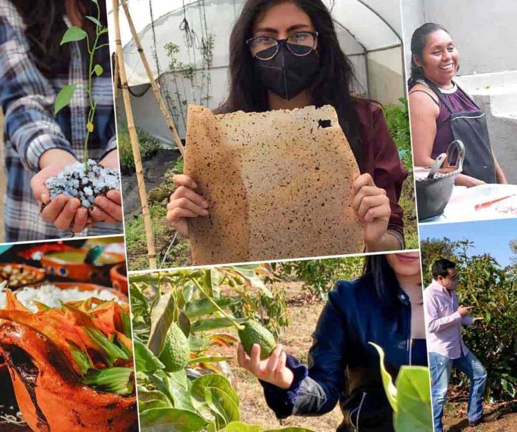 Van proyectos Tec por ‘Nobel’ de emprendimiento estudiantil