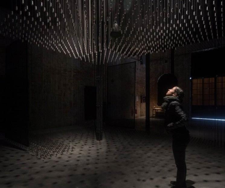 Bienal de Venecia. Desplazamientos, propuesta de México Bienal de Venecia. Desplazamientos, propuesta de México