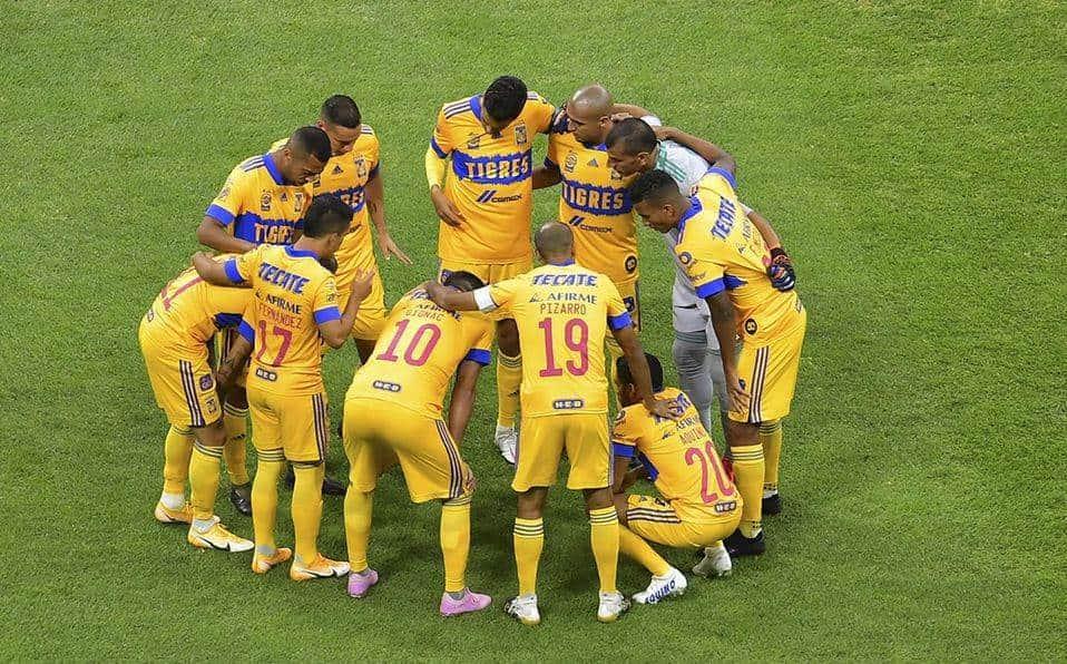 Pretemporada felina podría no ser en Cancún Pretemporada felina podría no ser en Cancún