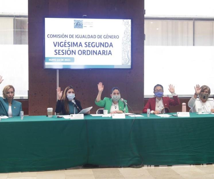 La Comisión de Igualdad de Género aprobó 12 dictámenes