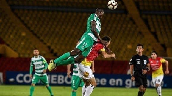 Se interesan felinos en Danilo Arboleda