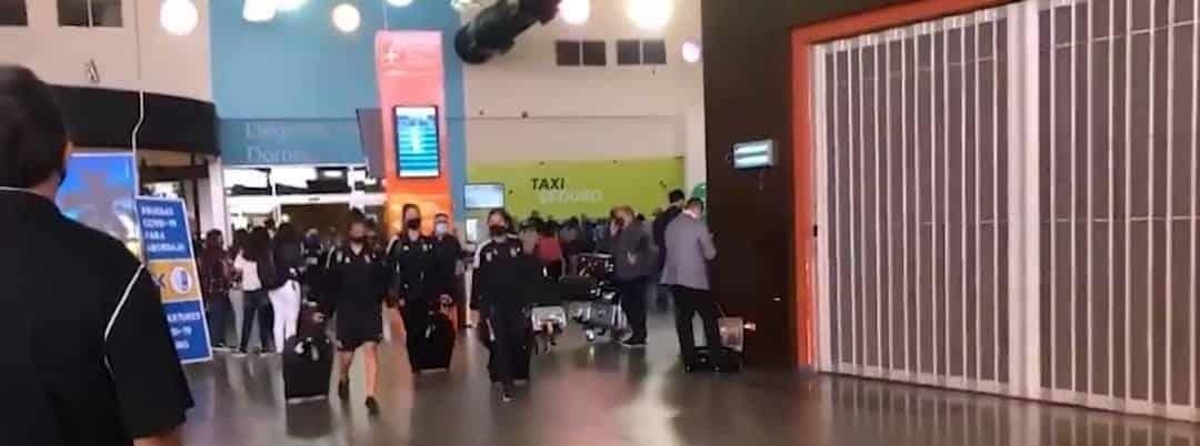 Llegan felinas a Monterrey