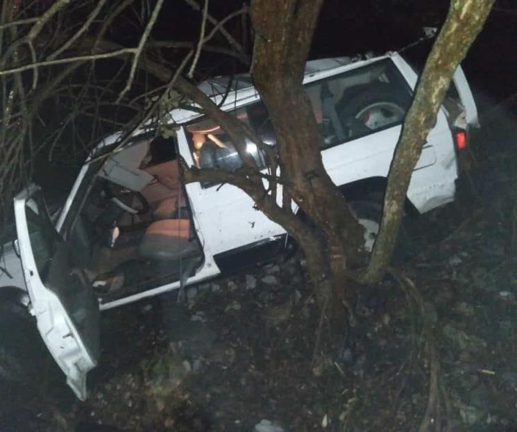 Evitan arbustos que caigan a barranco