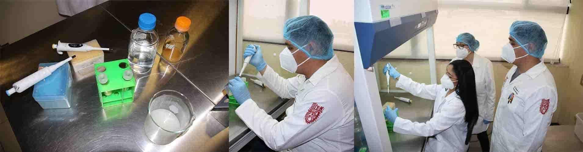 Obtienen patente por descubrir probiótico anticancerígeno
