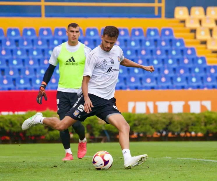 Tendrían felinos burbuja para pretemporada
