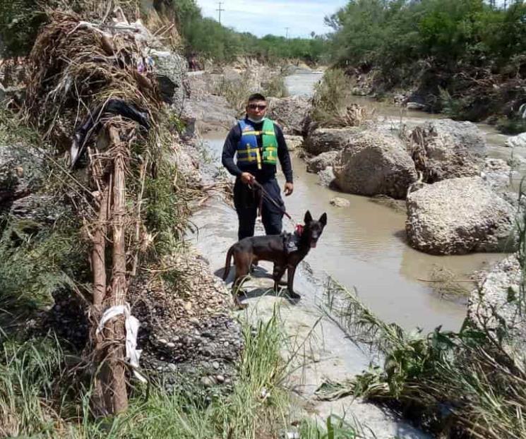 Sigue búsqueda de taxista desaparecida Sigue búsqueda de taxista desaparecida