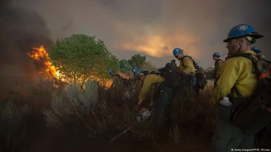 Incendio en California mató más de siete mil secuoyas Incendio en California mató más de siete mil secuoyas