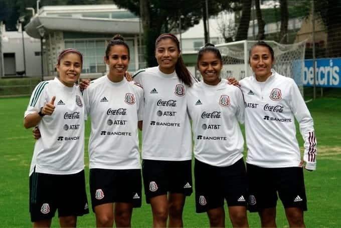 Reportan felinas al Tricolor de Vergara Reportan felinas al Tricolor de Vergara