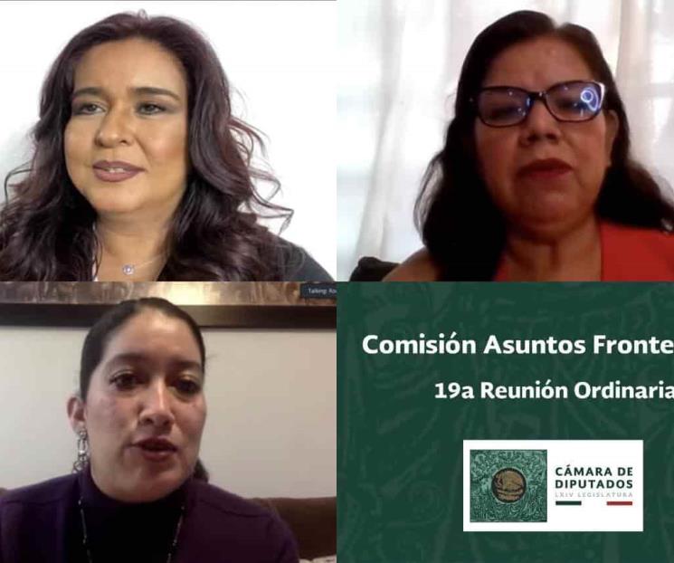 Asuntos Frontera Sur aprobó su Informe de Actividades Asuntos Frontera Sur aprobó su Informe de Actividades