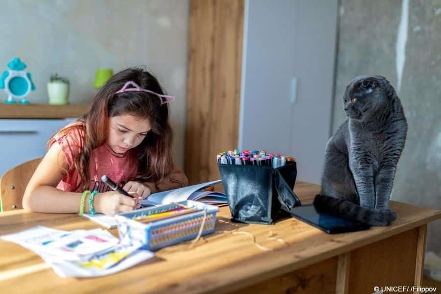 Pierden estudiantes equivalente a dos años de escolaridad Pierden estudiantes equivalente a dos años de escolaridad