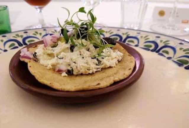 Bichos, un tesoro de la gastronomía mexicana Bichos, un tesoro de la gastronomía mexicana