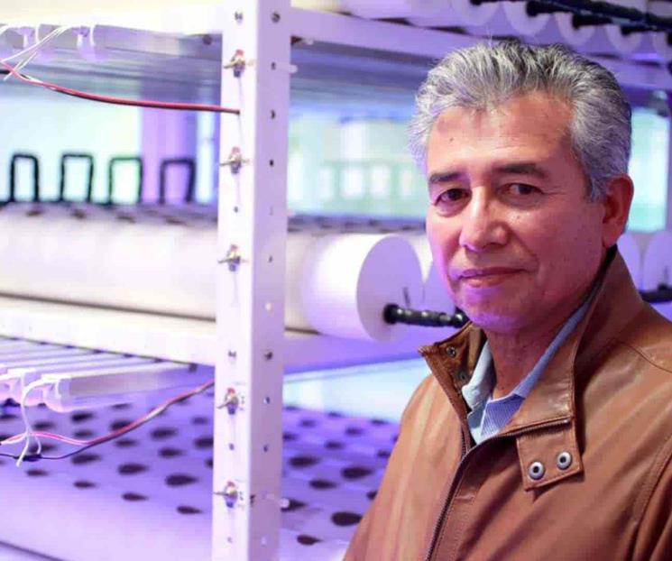 Propone agricultura vertical en pro del medio ambiente Propone agricultura vertical en pro del medio ambiente