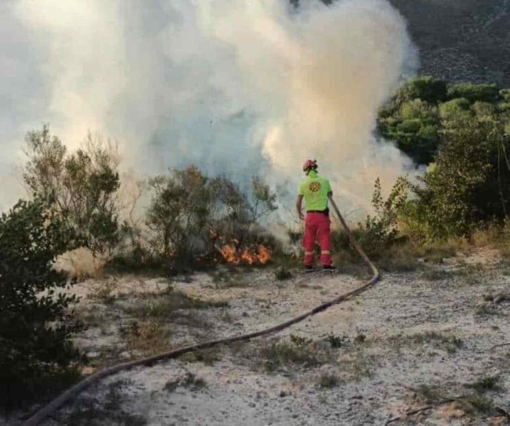 Controlan incendio forestal en sierra de Galeana Controlan incendio forestal en sierra de Galeana
