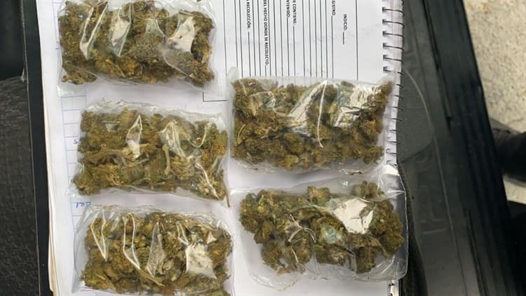 imagen-cuerpo imagen-cuerpo