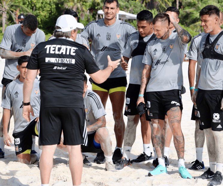 Trabajan ya felinos en la arena de la Riviera Trabajan ya felinos en la arena de la Riviera