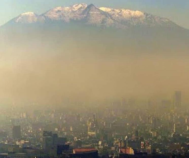 Urgen ambientalistas políticas públicas para evitar crisis Urgen ambientalistas políticas públicas para evitar crisis