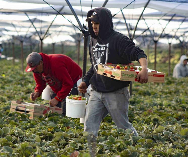 Olvidan a jornaleros en plan de inmunización Olvidan a jornaleros en plan de inmunización