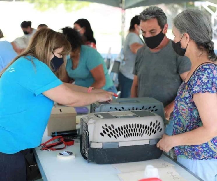 Realiza Escobedo campañas de esterilización Realiza Escobedo campañas de esterilización