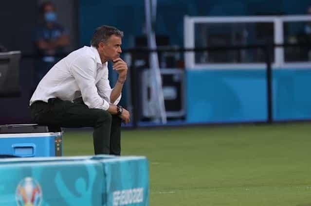 Se enojan con L.Enrique por criticar césped de la Cartuja Se enojan con L.Enrique por criticar césped de la Cartuja