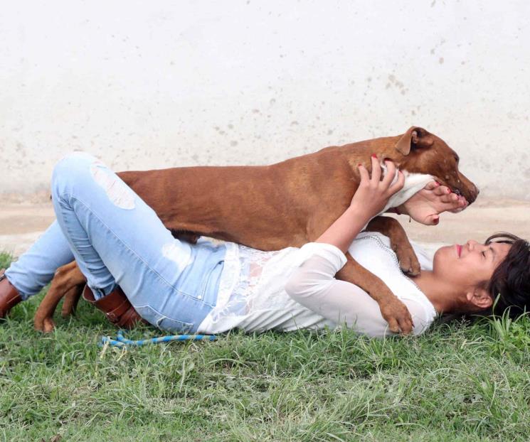 Por fin regresa Spay con su familia Por fin regresa Spay con su familia