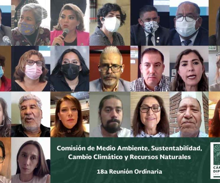 Deben continuar con temas en materia de medio ambiente