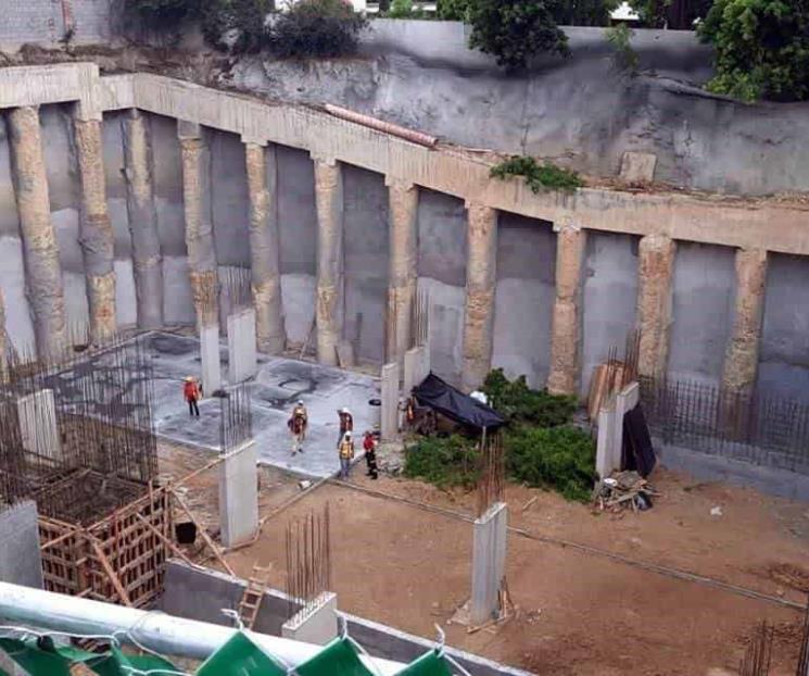 Cae árbol sobre trabajador Cae árbol sobre trabajador