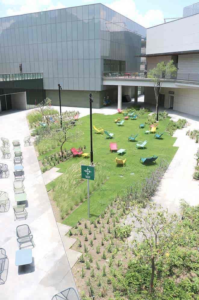 Inauguran el Wellness Center Inauguran el Wellness Center