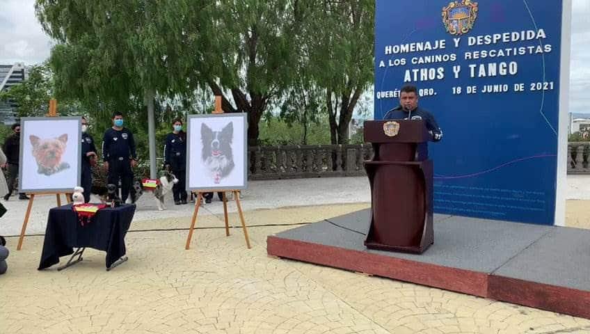 Despiden con honores a Athos y Tango Despiden con honores a Athos y Tango