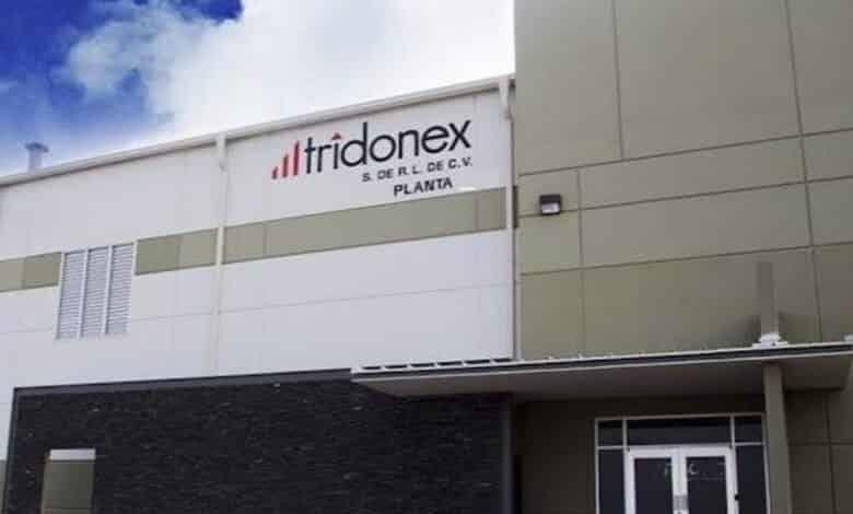 México admite solicitud laboral de EU contra Tridonex México admite solicitud laboral de EU contra Tridonex