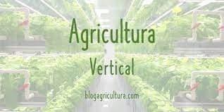 Tratarán de cuidar ecosistema con mecanismo de agricultura Tratarán de cuidar ecosistema con mecanismo de agricultura