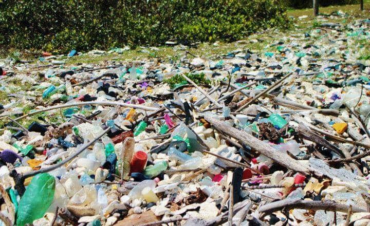 Proponen en Congreso atender tratamiento de desechos sólidos Proponen en Congreso atender tratamiento de desechos sólidos