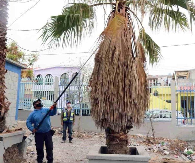 Refuerzan acciones ecológicas para las calles de SC Refuerzan acciones ecológicas para las calles de SC
