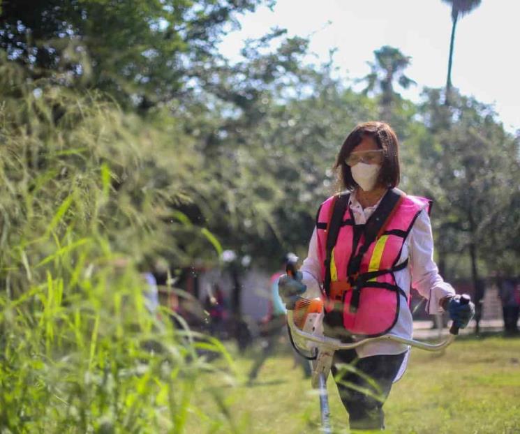 Deshierban y limpian 400 planteles de Guadalupe, Deshierban y limpian 400 planteles de Guadalupe,