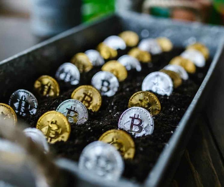 Bitcoin baja de 30,000 dólares por primera vez en 2021 Bitcoin baja de 30,000 dólares por primera vez en 2021