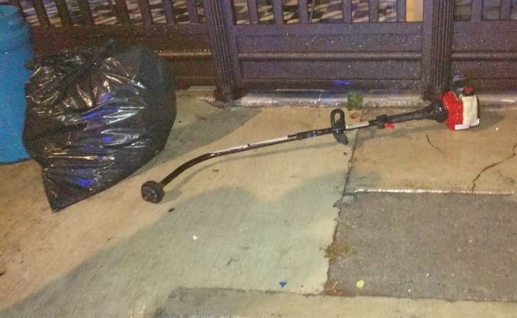 imagen-cuerpo imagen-cuerpo