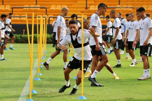 Vuelven felinos hoy a prácticas Vuelven felinos hoy a prácticas