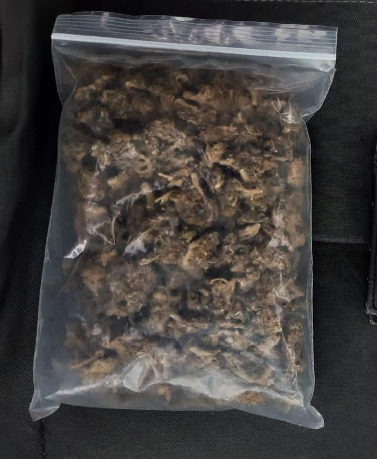 imagen-cuerpo imagen-cuerpo