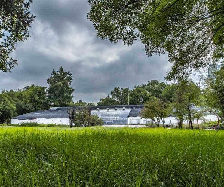 Financiará diseño de Pabellón de Renzo Piano en Chapultepec Financiará diseño de Pabellón de Renzo Piano en Chapultepec