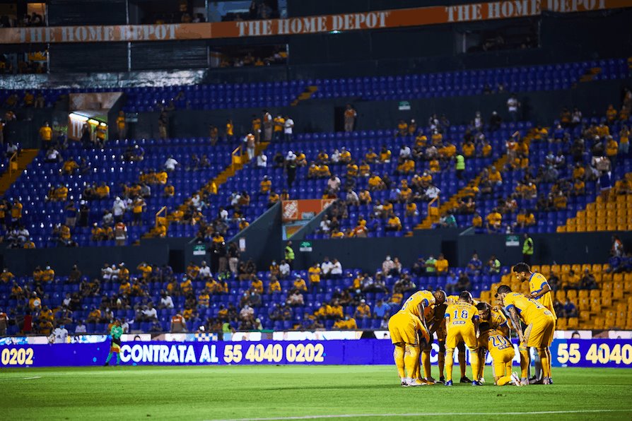 No habría aumentos en abonos felinos No habría aumentos en abonos felinos