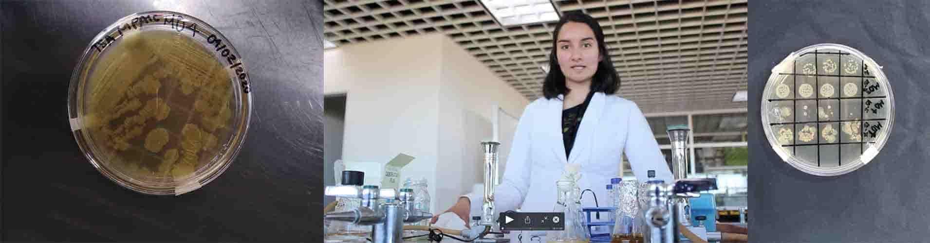 Alumna emplea microorganismos para remediación ambiental