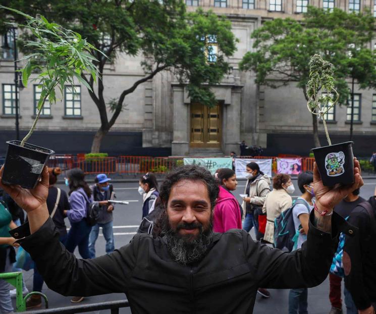 Usos de la marihuana deberán hacerse públicos: Inai