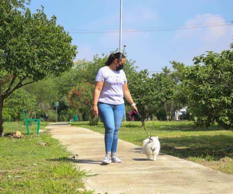 Consulta Guadalupe normativa de protección animal