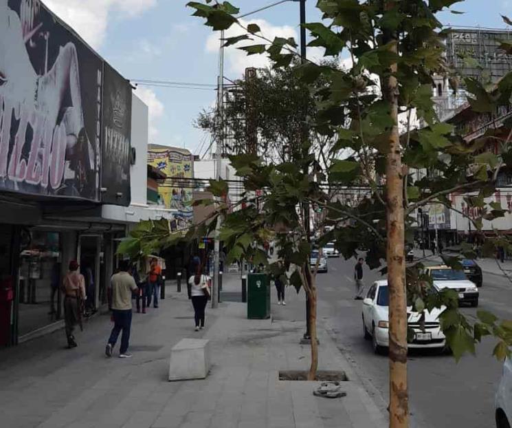 Llaman a mejorar sustentabilidad de las ciudades Llaman a mejorar sustentabilidad de las ciudades