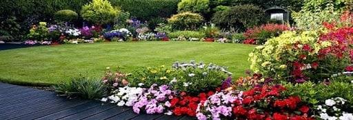 Sugieren consultar a los viveros profesionales