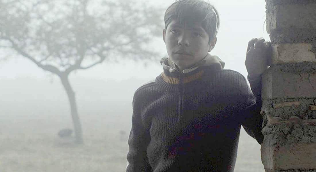 Destacan la pandemia y mujer en anuario del cine mexicano Destacan la pandemia y mujer en anuario del cine mexicano