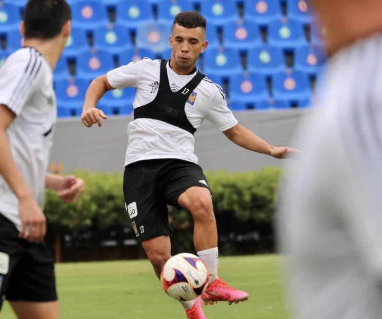 Entrenan felinos sin franceses; viajan más tarde a EU Entrenan felinos sin franceses; viajan más tarde a EU